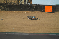 brands-hatch-photographs;brands-no-limits-trackday;cadwell-trackday-photographs;enduro-digital-images;event-digital-images;eventdigitalimages;no-limits-trackdays;peter-wileman-photography;racing-digital-images;trackday-digital-images;trackday-photos